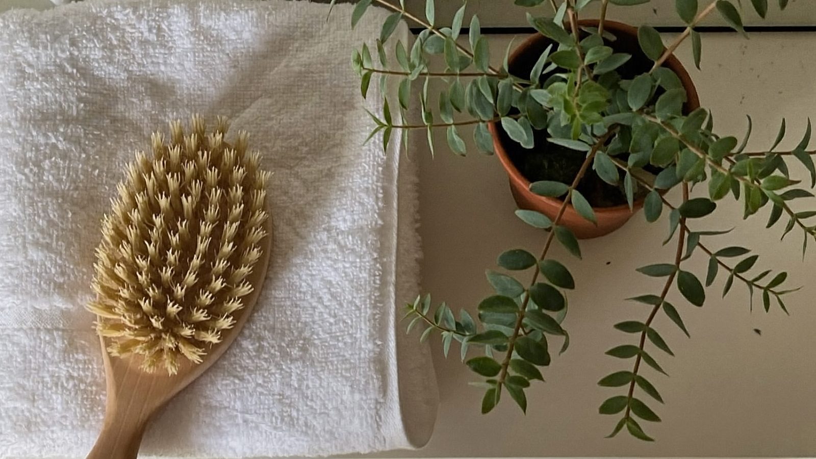 A bath brush and folded towel on a bathroom shelf next to a small potted plant